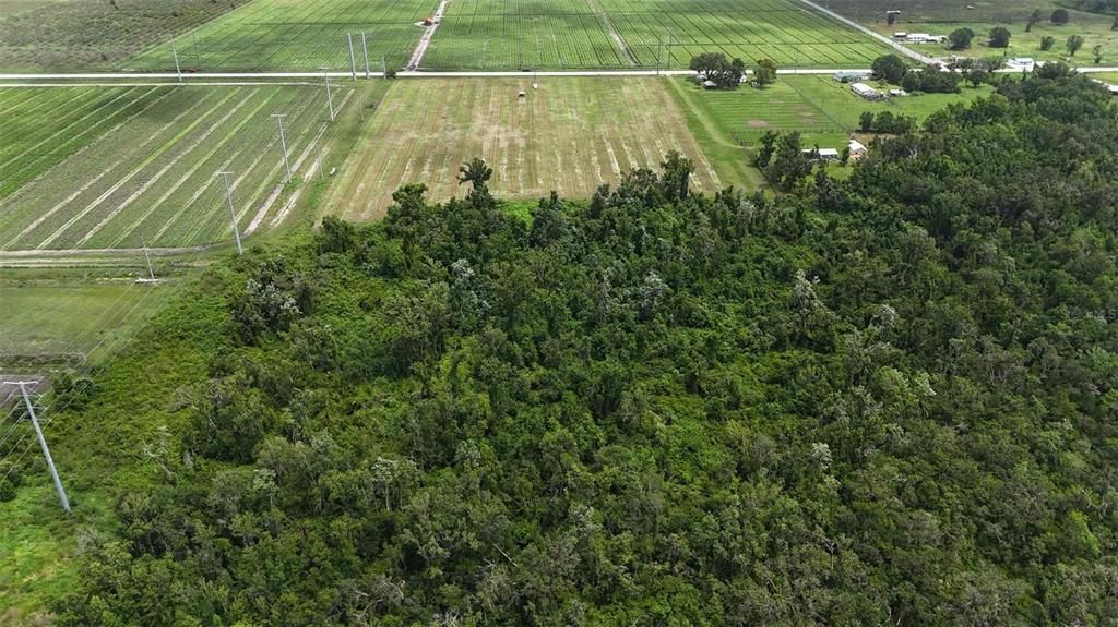 待售: $235,000 (9.31 acres)