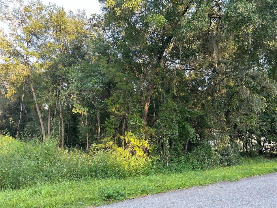 Recently Sold: $25,000 (0.23 acres)