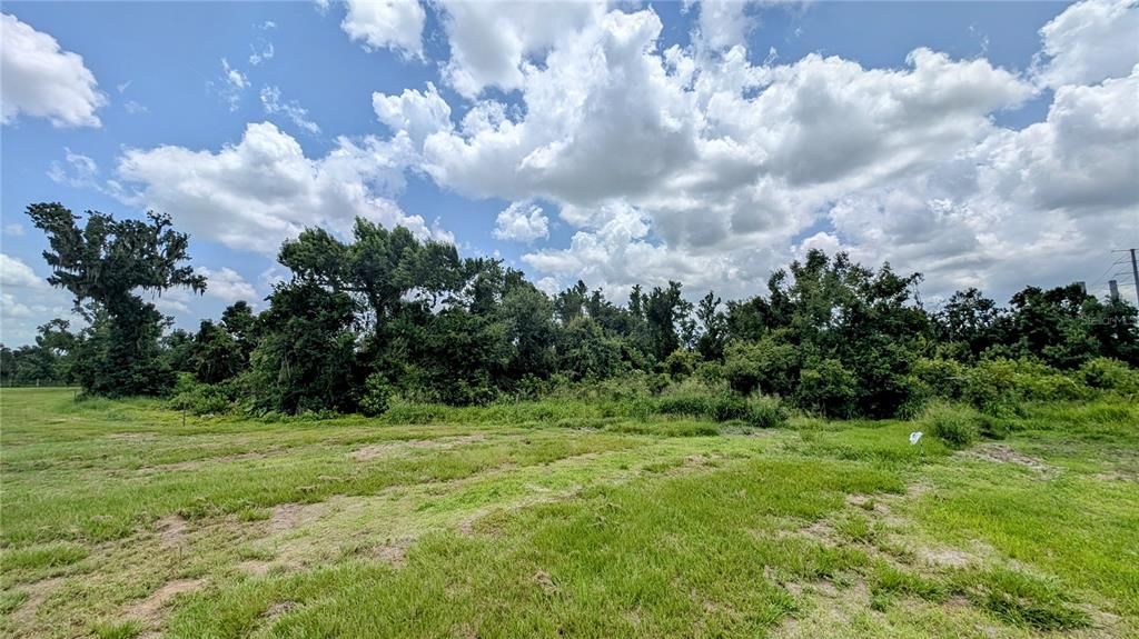 For Sale: $269,000 (10.89 acres)