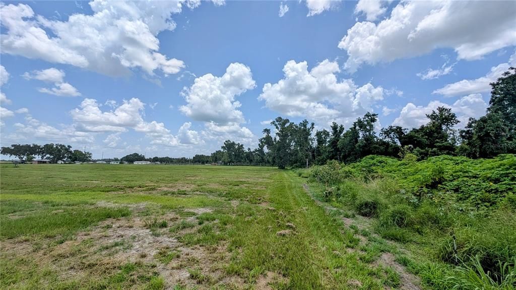 For Sale: $269,000 (10.89 acres)