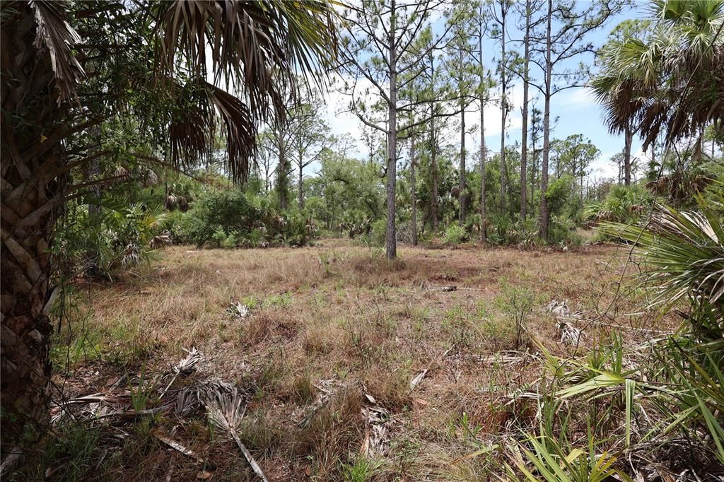 Active With Contract: $35,000 (0.46 acres)