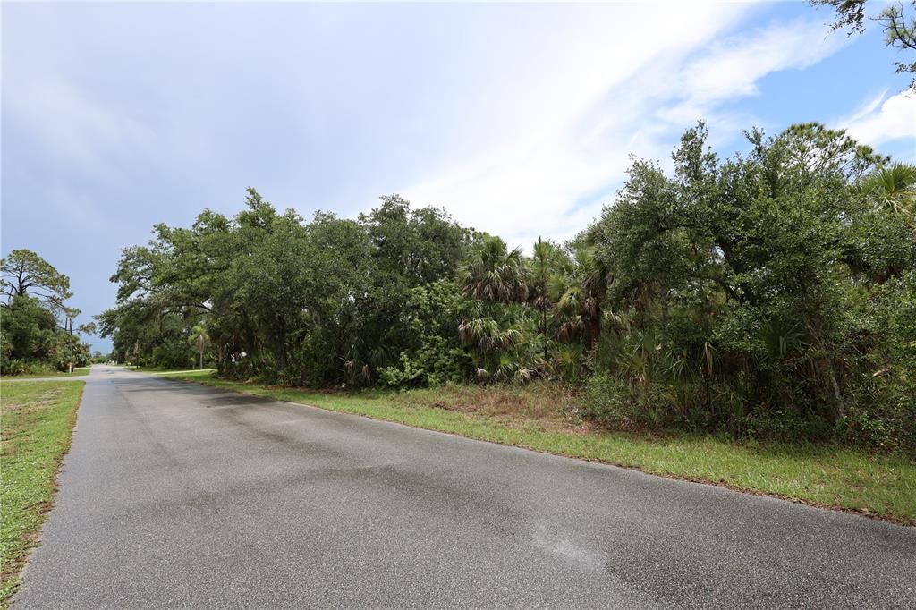 Active With Contract: $35,000 (0.46 acres)
