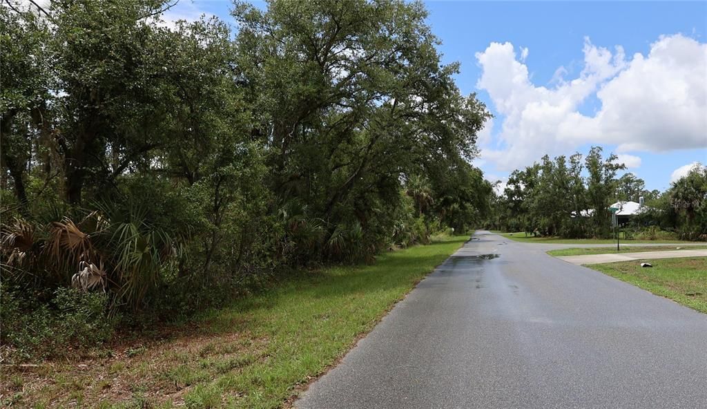 Active With Contract: $35,000 (0.46 acres)