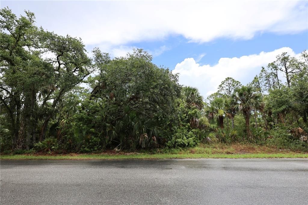 Active With Contract: $35,000 (0.46 acres)