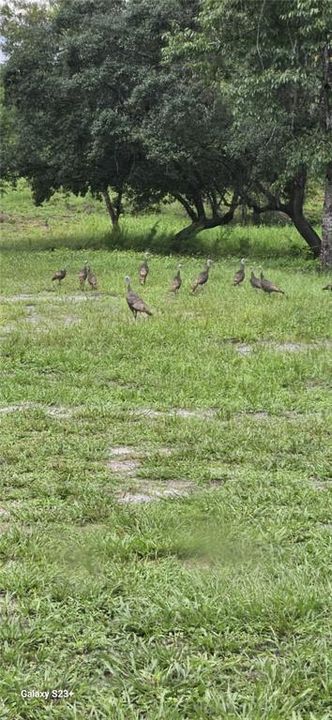 For Sale: $990,000 (6 beds, 4 baths, 4058 Square Feet)