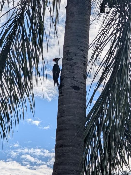 For Sale: $990,000 (6 beds, 4 baths, 4058 Square Feet)