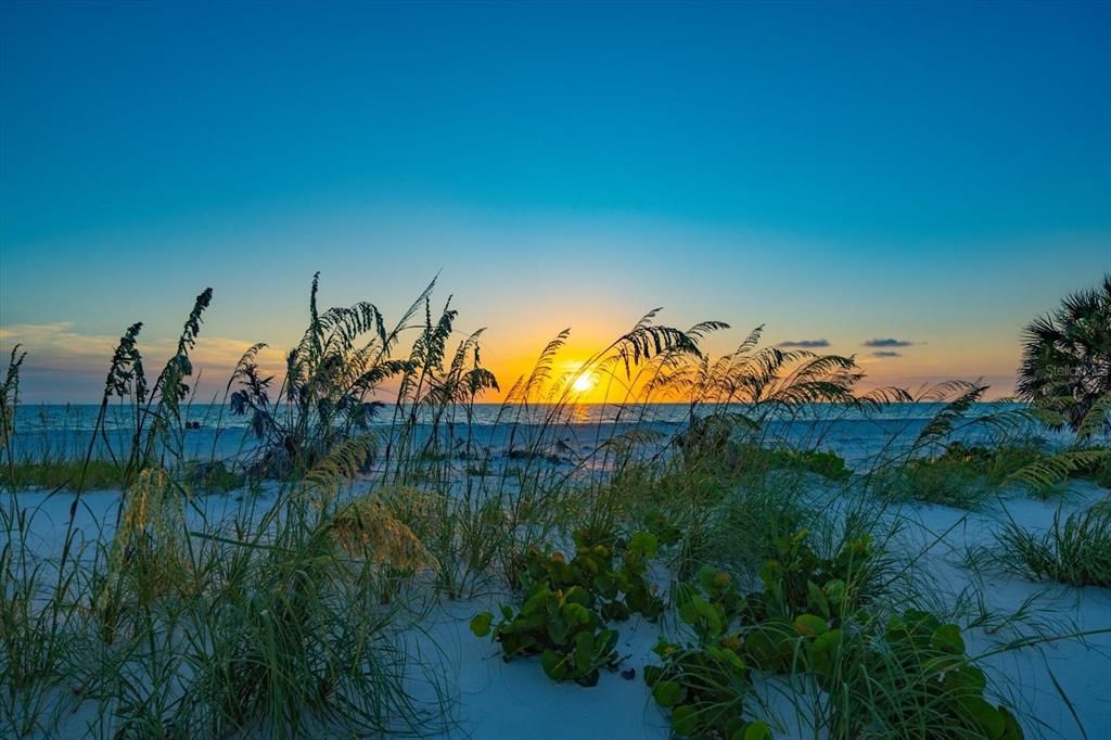 En Venta: $16,750,000 (5 camas, 4 baños, 5421 Pies cuadrados)