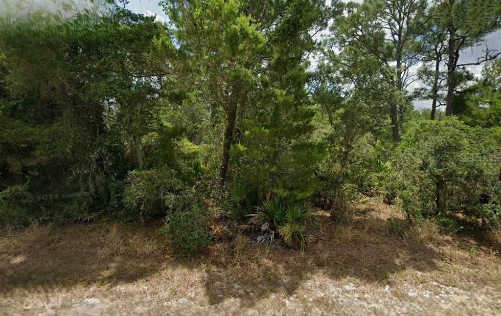 最近售出: $13,000 (0.30 acres)