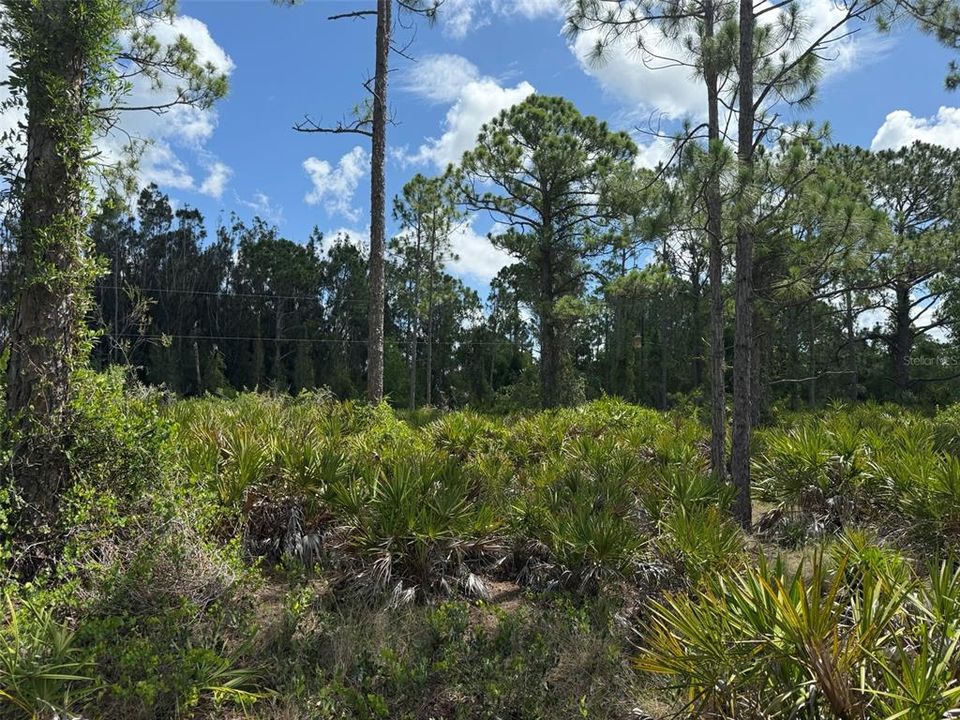For Sale: $10,500 (0.17 acres)
