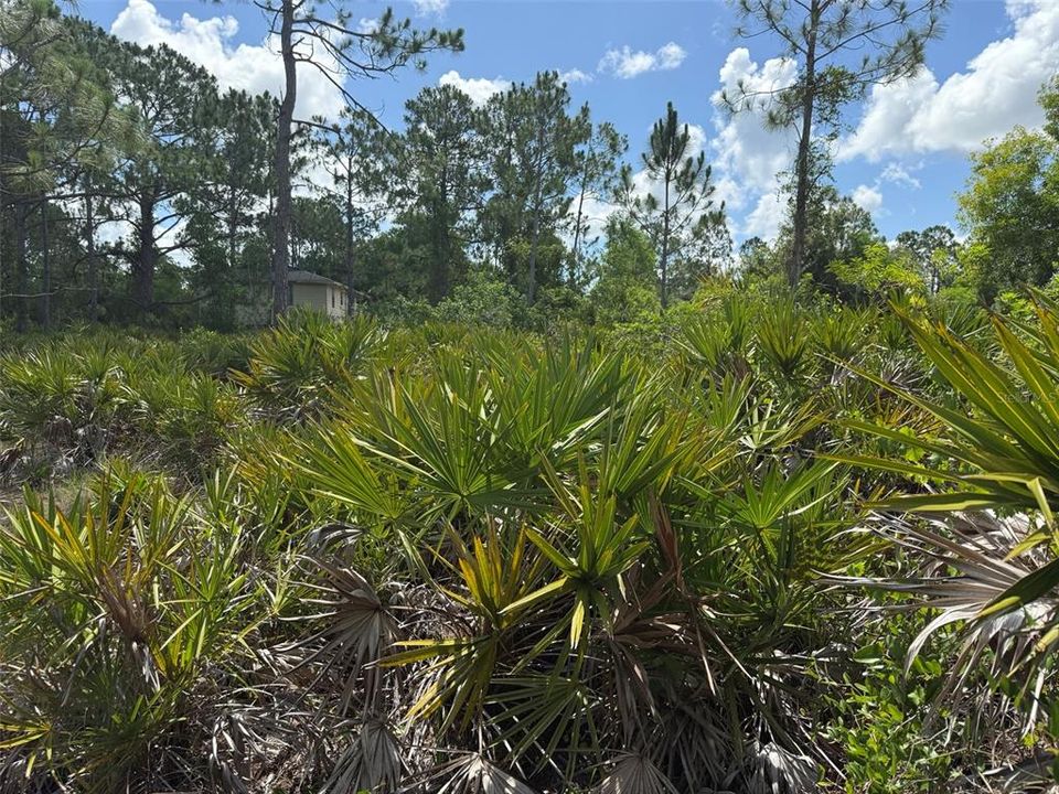 For Sale: $10,500 (0.17 acres)