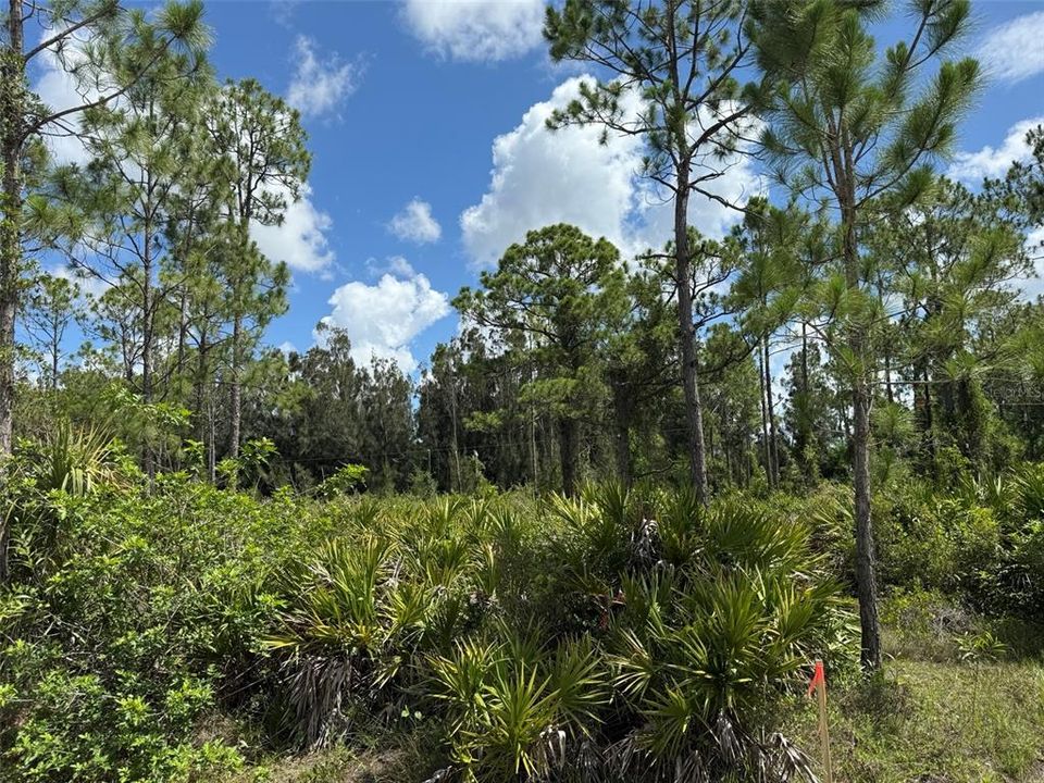 For Sale: $10,500 (0.17 acres)