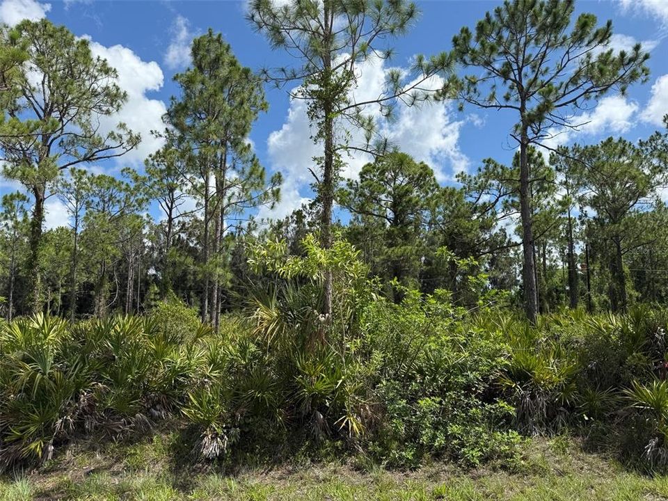 For Sale: $10,500 (0.17 acres)