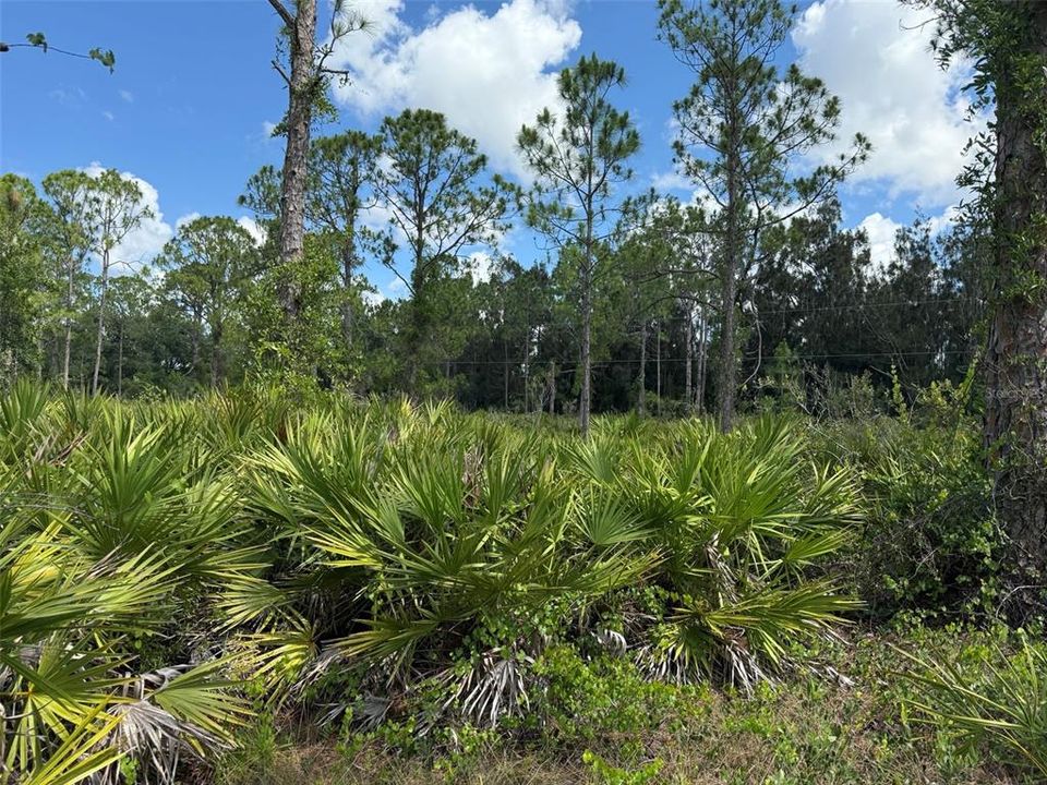 For Sale: $10,500 (0.17 acres)