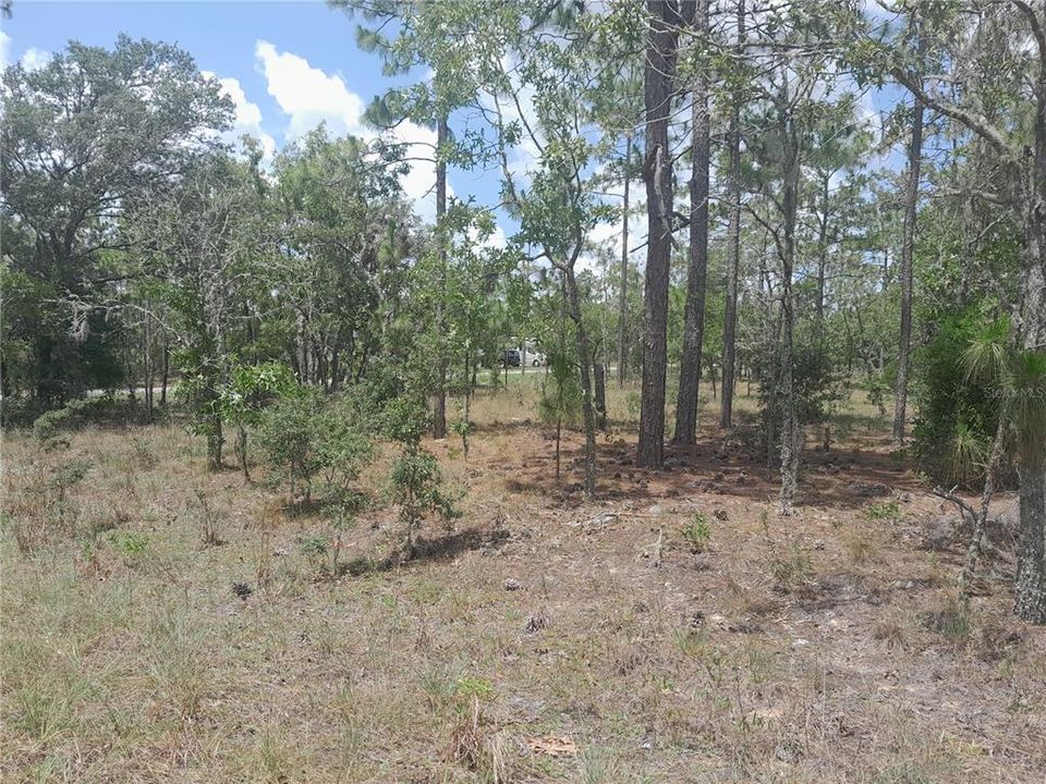 Active With Contract: $16,000 (0.23 acres)