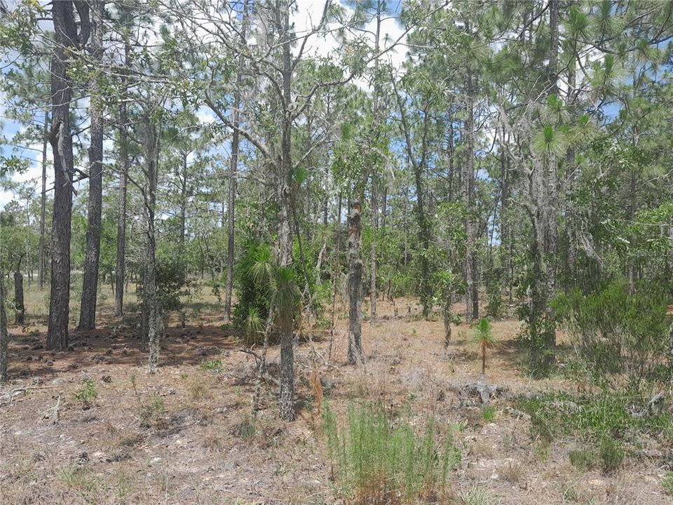 Active With Contract: $16,000 (0.23 acres)