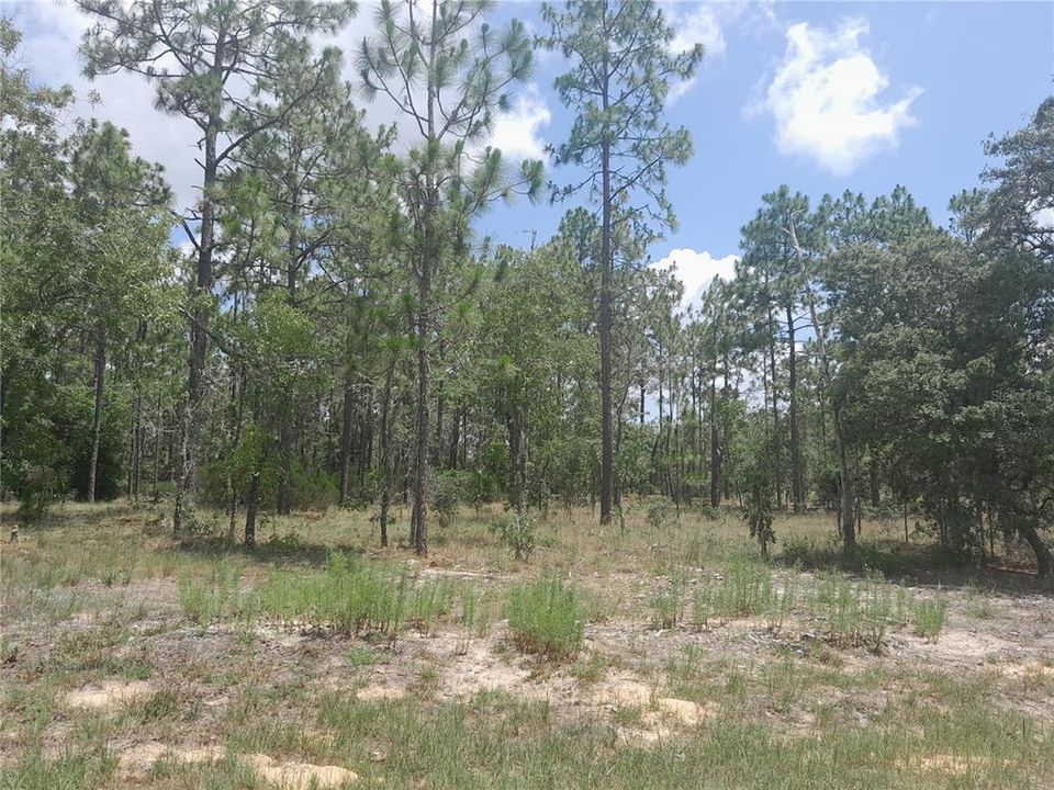 Active With Contract: $16,000 (0.23 acres)