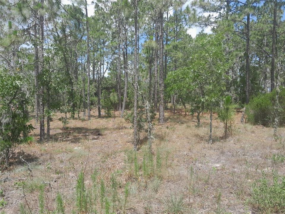 For Sale: $15,000 (0.23 acres)