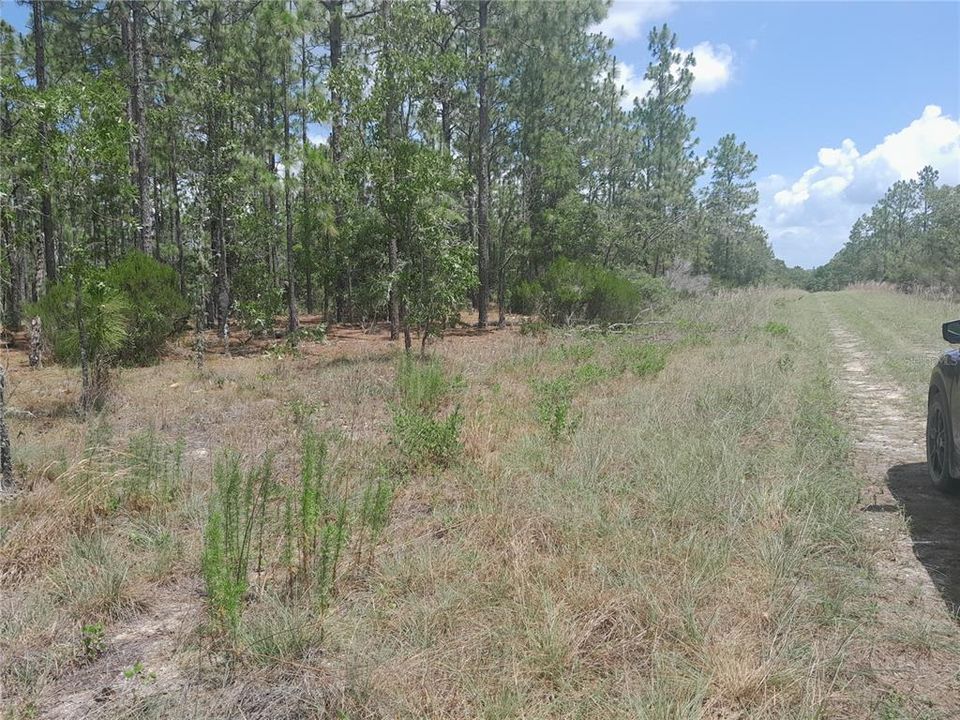 For Sale: $15,000 (0.23 acres)