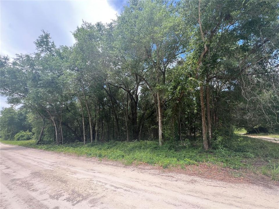 For Sale: $19,000 (0.18 acres)