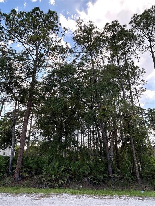 For Sale: $37,900 (0.26 acres)