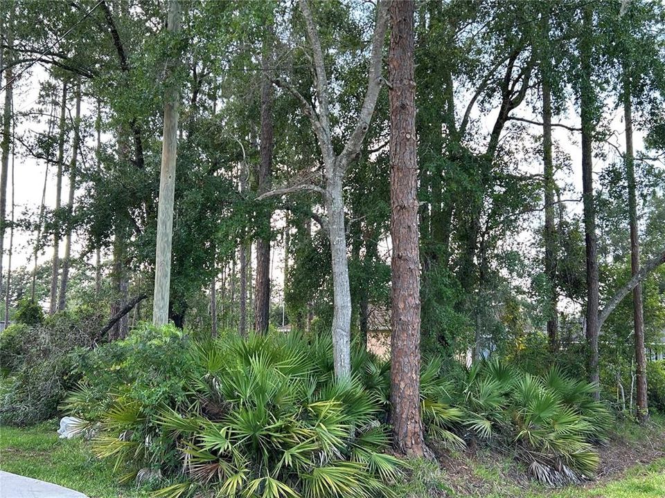 For Sale: $37,900 (0.26 acres)