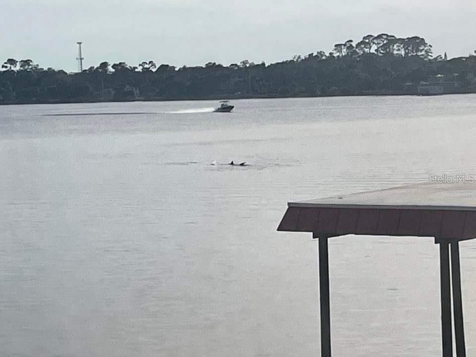 For Rent: $1,700 (2 beds, 2 baths, 1030 Square Feet)