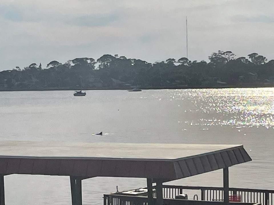 For Rent: $1,700 (2 beds, 2 baths, 1030 Square Feet)