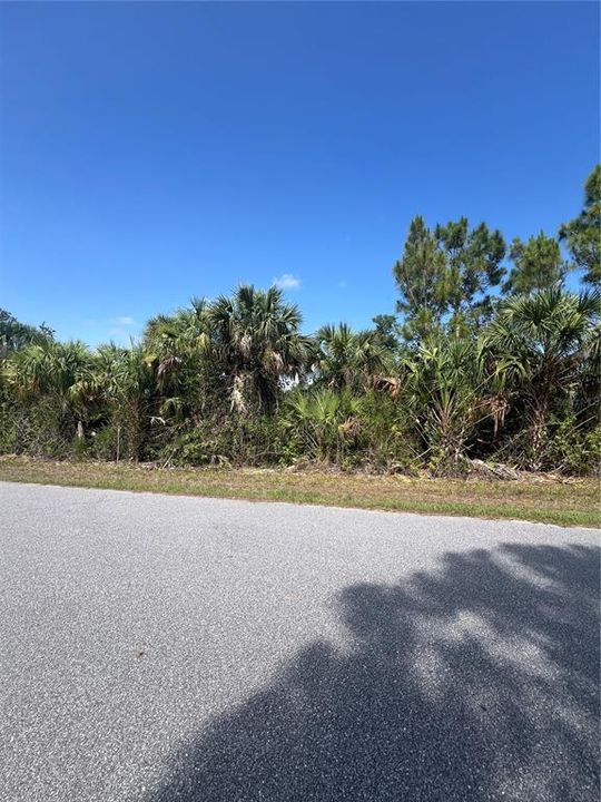 待售: $23,900 (0.26 acres)