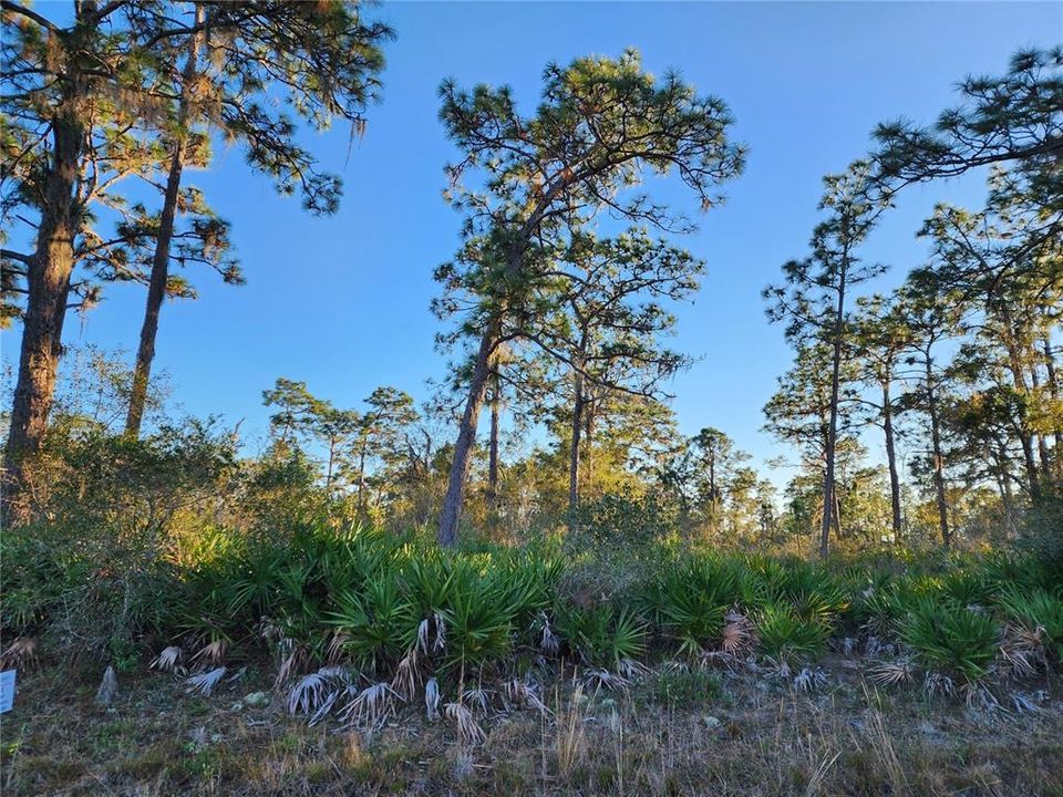 Недавно продано: $35,000 (1.00 acres)