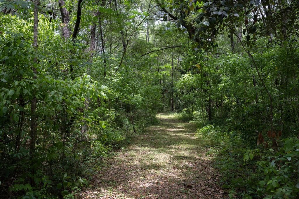 待售: $450,000 (3 贝兹, 2 浴室, 1910 平方英尺)