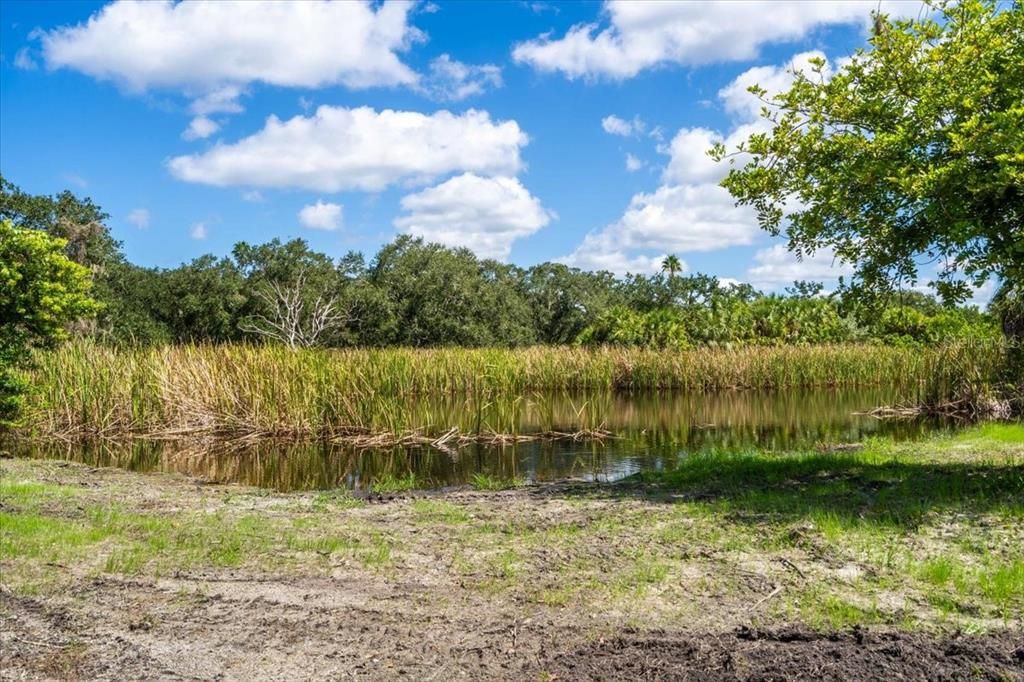 На продажу: $599,999 (2.89 acres)