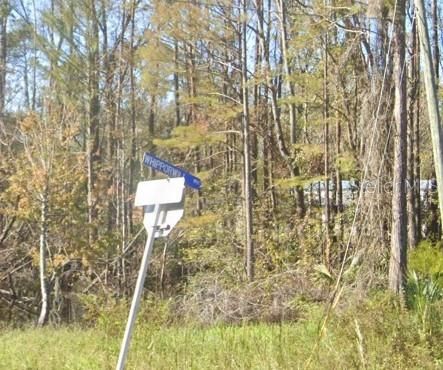 Vendido Recientemente: $54,999 (3.91 acres)