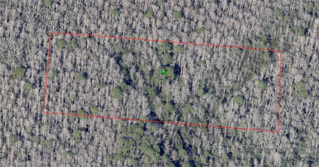 For Sale: $29,900 (5.00 acres)