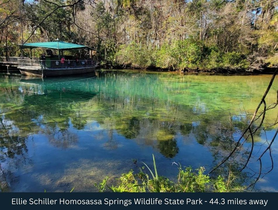 На продажу: $123,000 (1.09 acres)