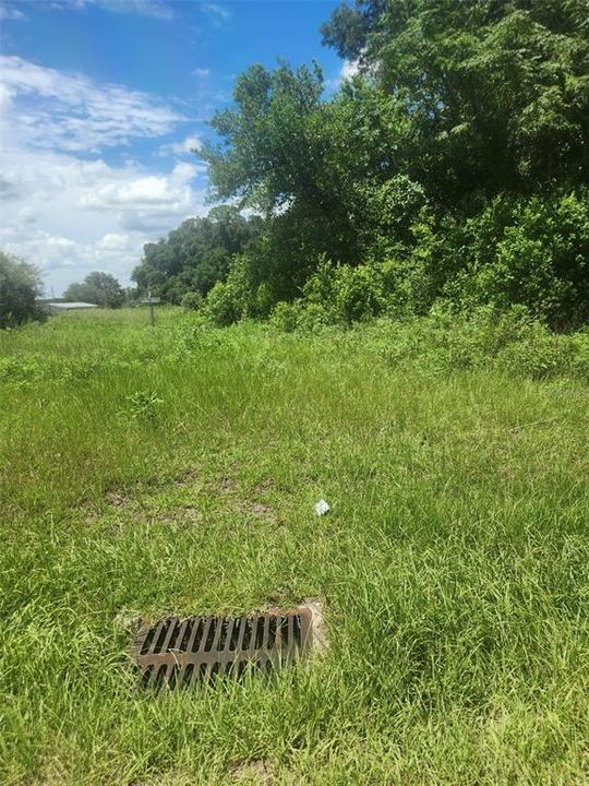 На продажу: $123,000 (1.09 acres)