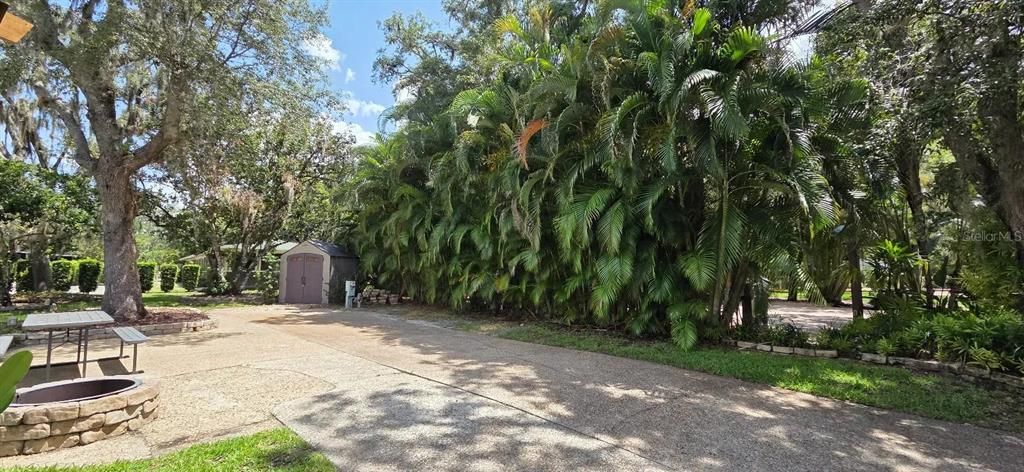 待售: $195,000 (0.08 acres)