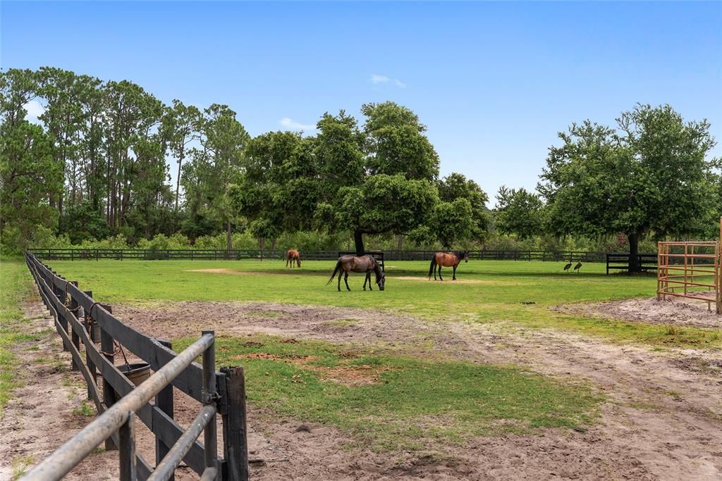 合同活跃: $965,000 (3 贝兹, 2 浴室, 2548 平方英尺)