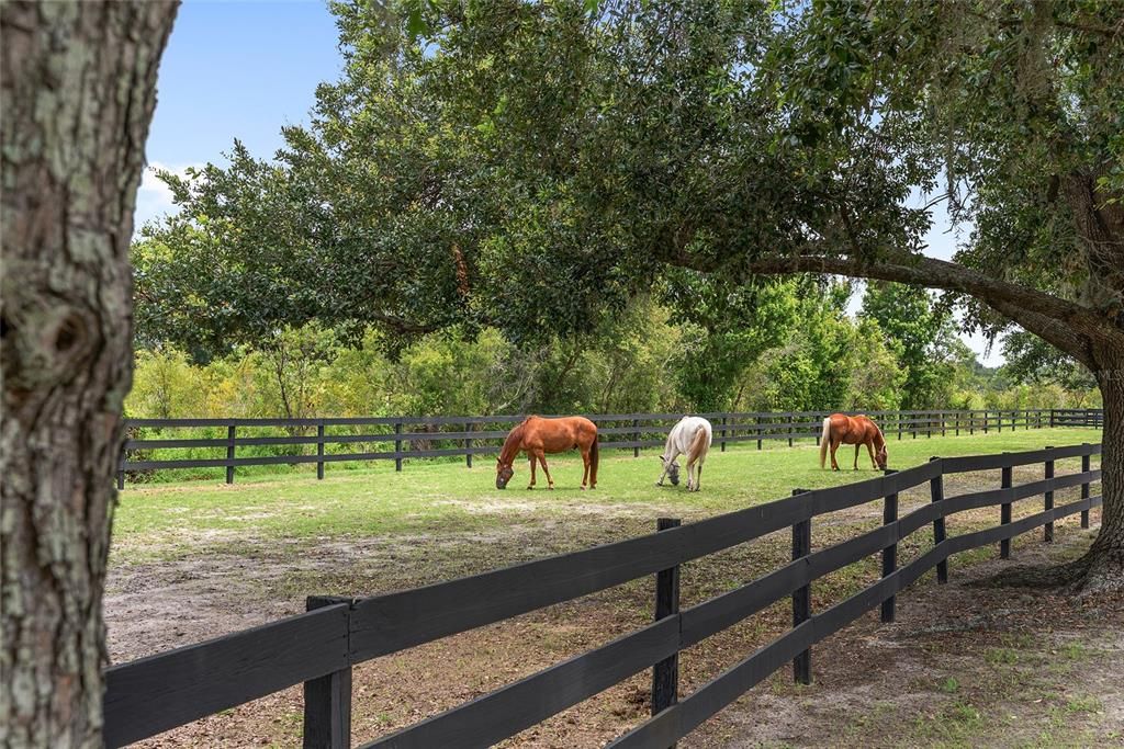 合同活跃: $965,000 (3 贝兹, 2 浴室, 2548 平方英尺)