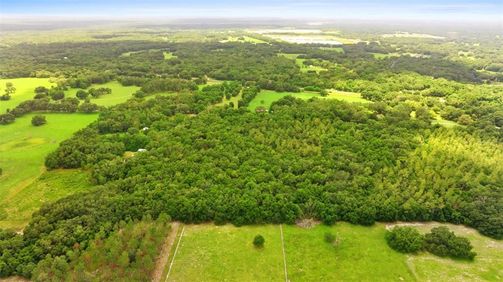 For Sale: $800,000 (20.63 acres)