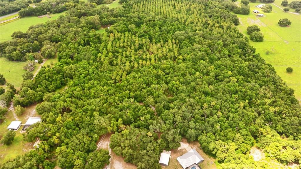 For Sale: $800,000 (20.63 acres)