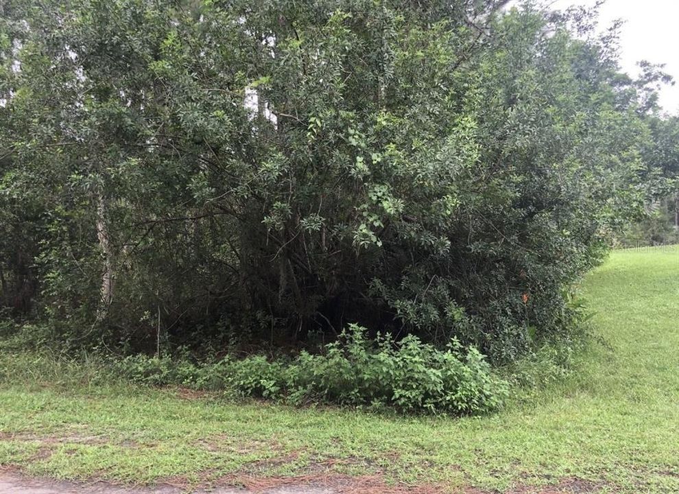 待售: $86,000 (0.50 acres)