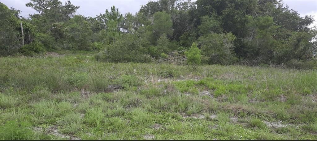 待售: $100,000 (0.74 acres)