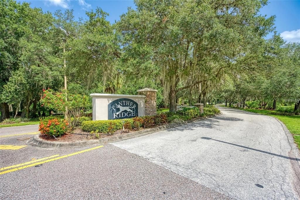 For Sale: $1,899,900 (5 beds, 4 baths, 3890 Square Feet)