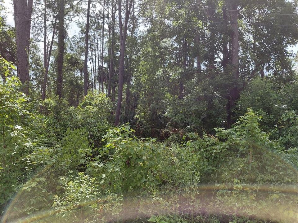 На продажу: $27,500 (0.24 acres)