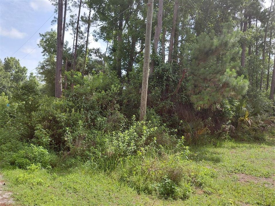 На продажу: $27,500 (0.24 acres)