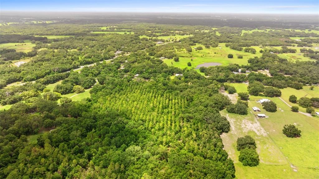 待售: $1,015,600 (25.39 acres)