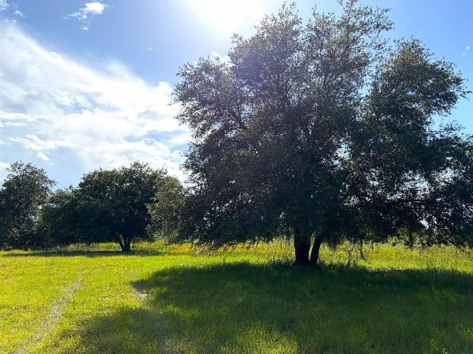 En Venta: $514,900 (9.99 acres)
