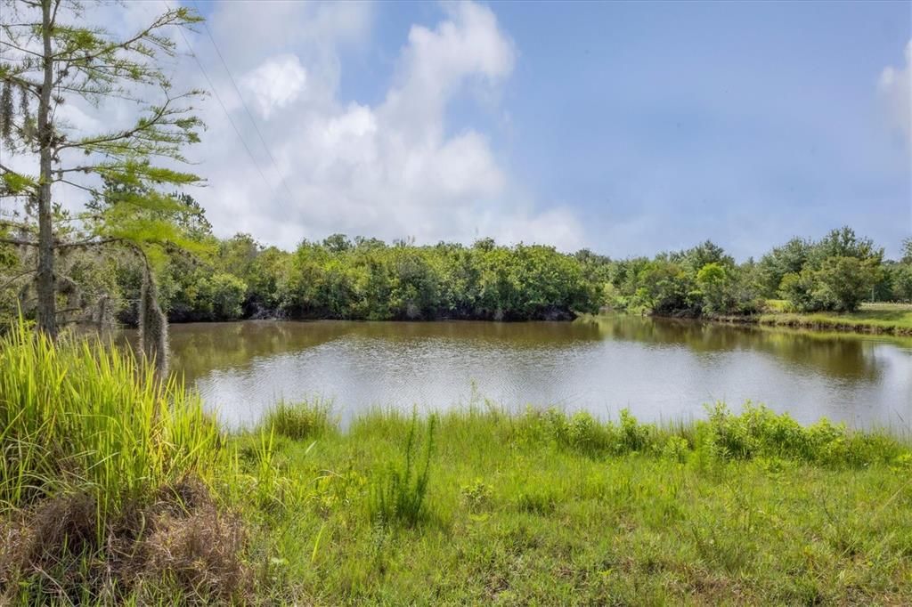 En Venta: $514,900 (9.99 acres)