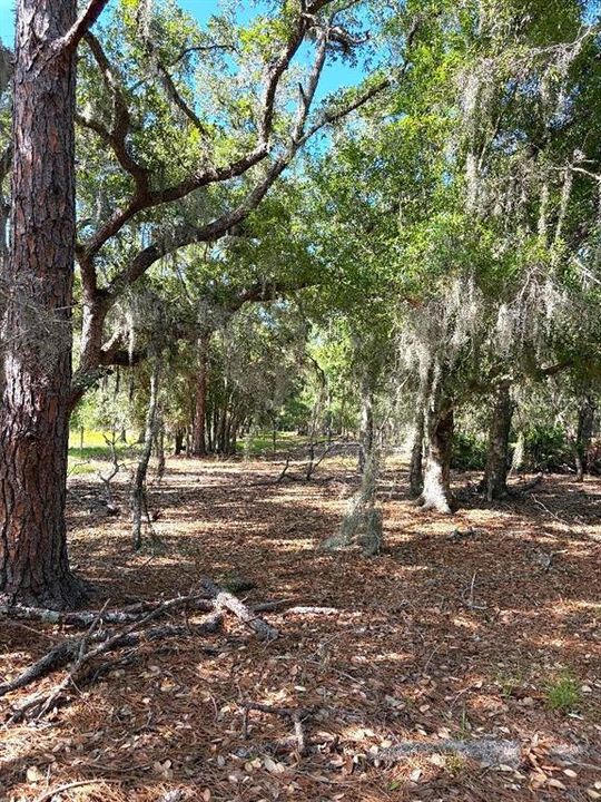 En Venta: $514,900 (9.99 acres)
