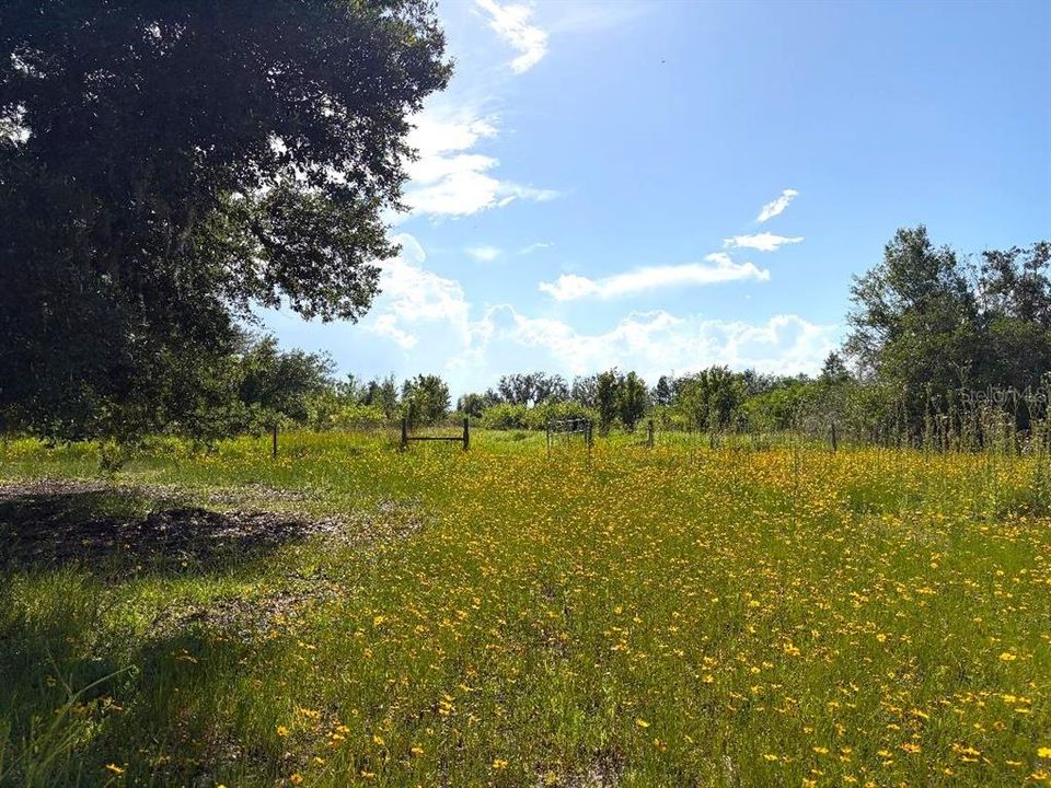 En Venta: $514,900 (9.99 acres)